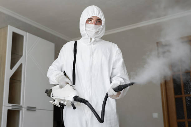 Best Comprehensive Air Testing for Mold Contaminants in White Bluff, TN